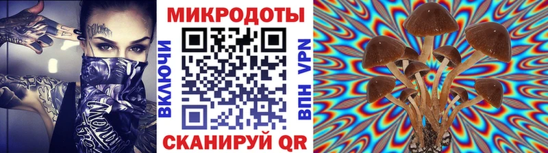 Псилоцибиновые грибы мухоморы Порхов